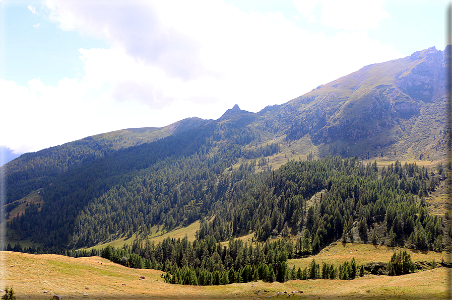 foto Valle del Montalon